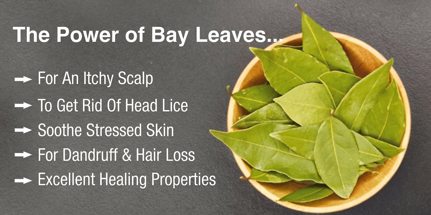 Discover the Real Benefits of Bay Leaf for Mature Skin After 60: Separating Facts from Viral Myths