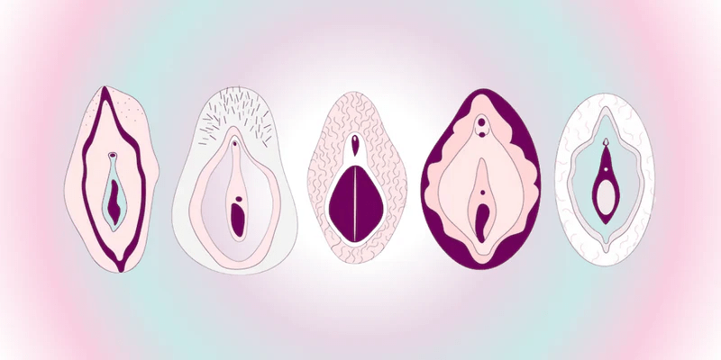 How the Clitoris Evolves with Age: Key Insights into Women’s Sexual Health from 20 to 60