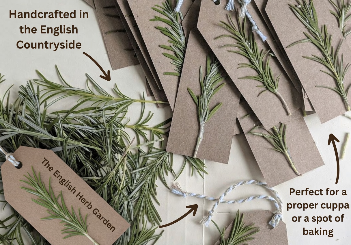 Exploring Rosemary’s Potential in Soothing Muscle and Joint Discomfort: A Natural Usage Guide