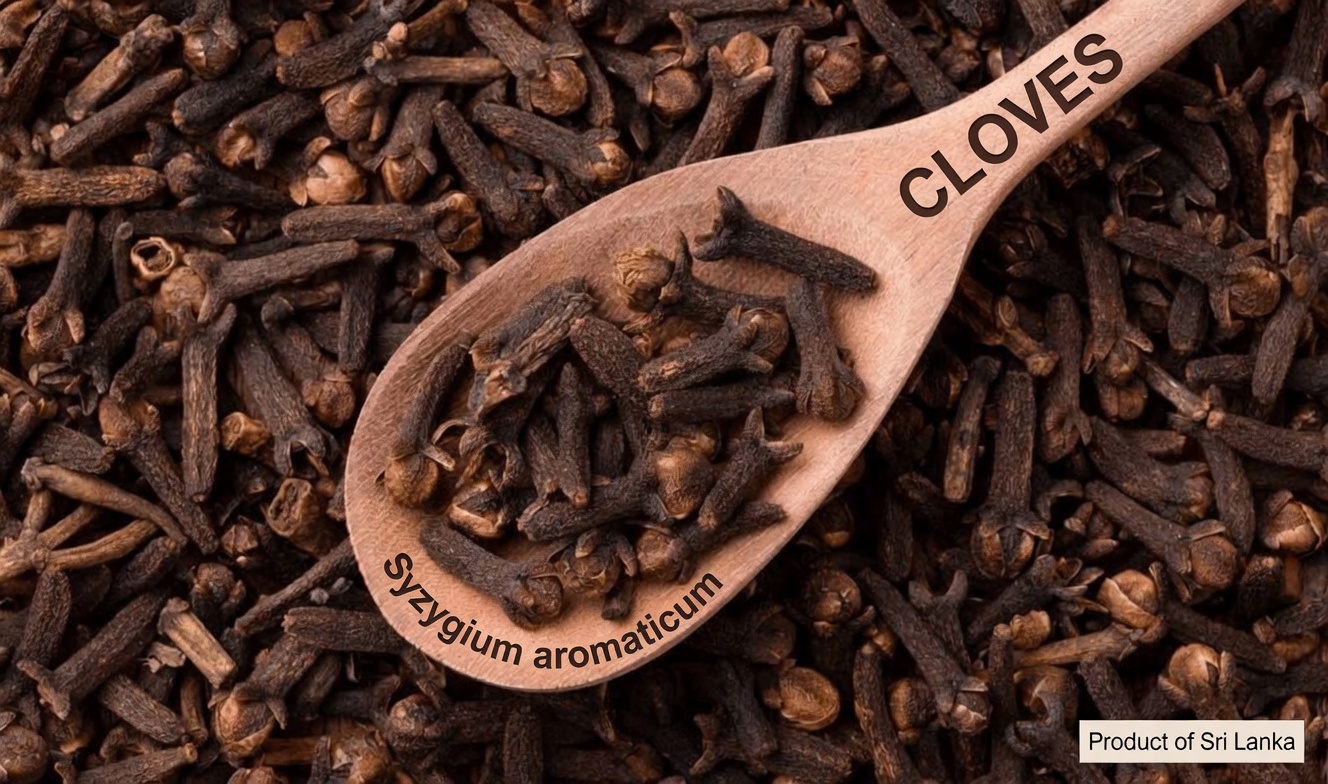 I Chewed One Clove Daily for 7 Days: A Simple Habit That Changed How My Body Felt After 50