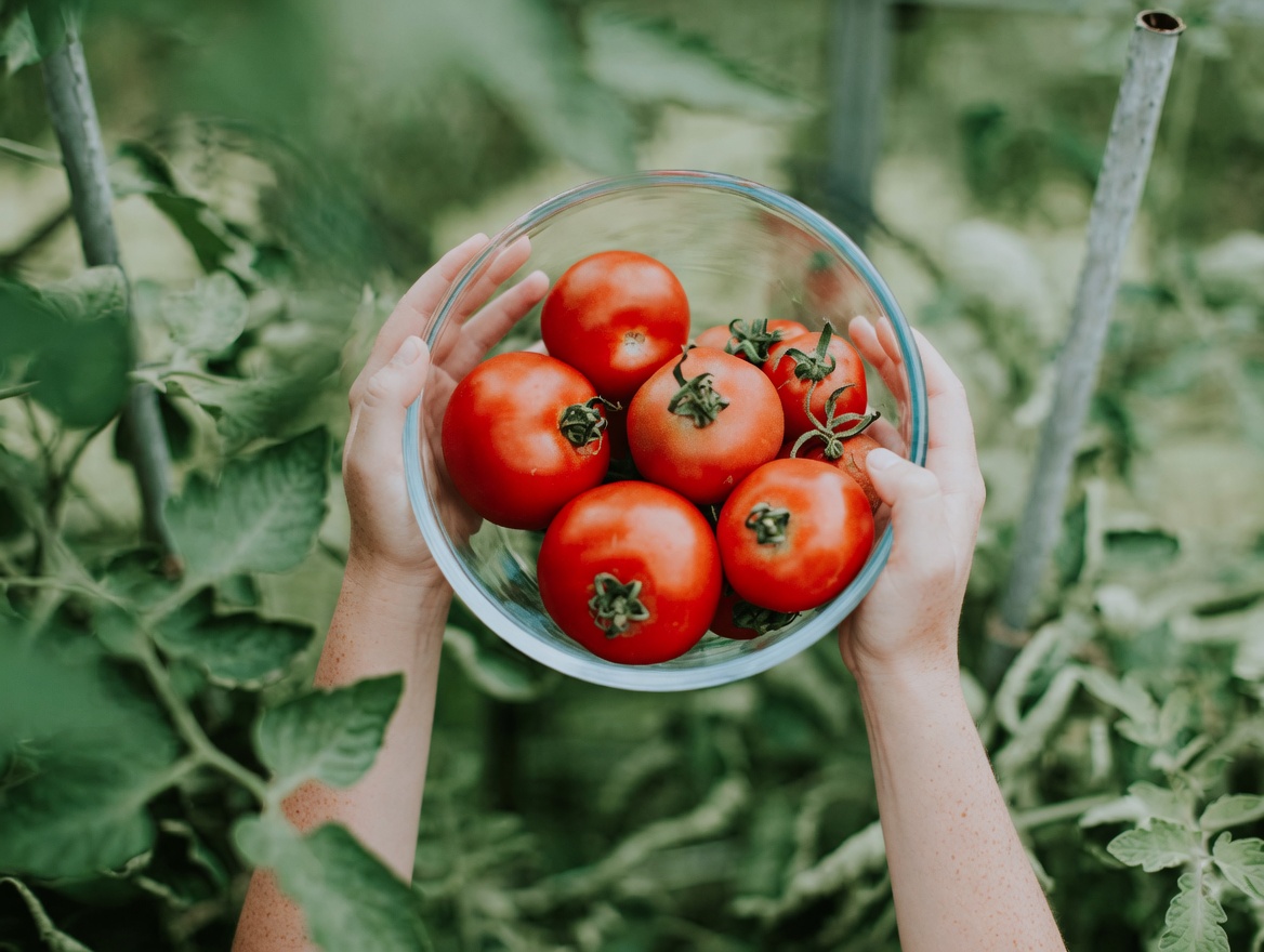 Can One Everyday Fruit Support Prostate Health as You Age? Discover the Power of Tomatoes and More