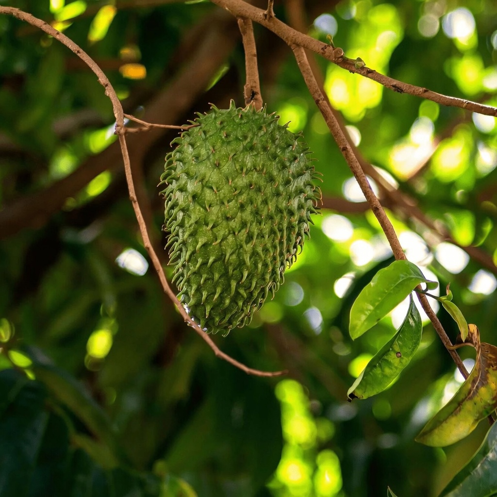 15 Evidence-Based Drinks That May Support Cancer Prevention Through Diet and Lifestyle
