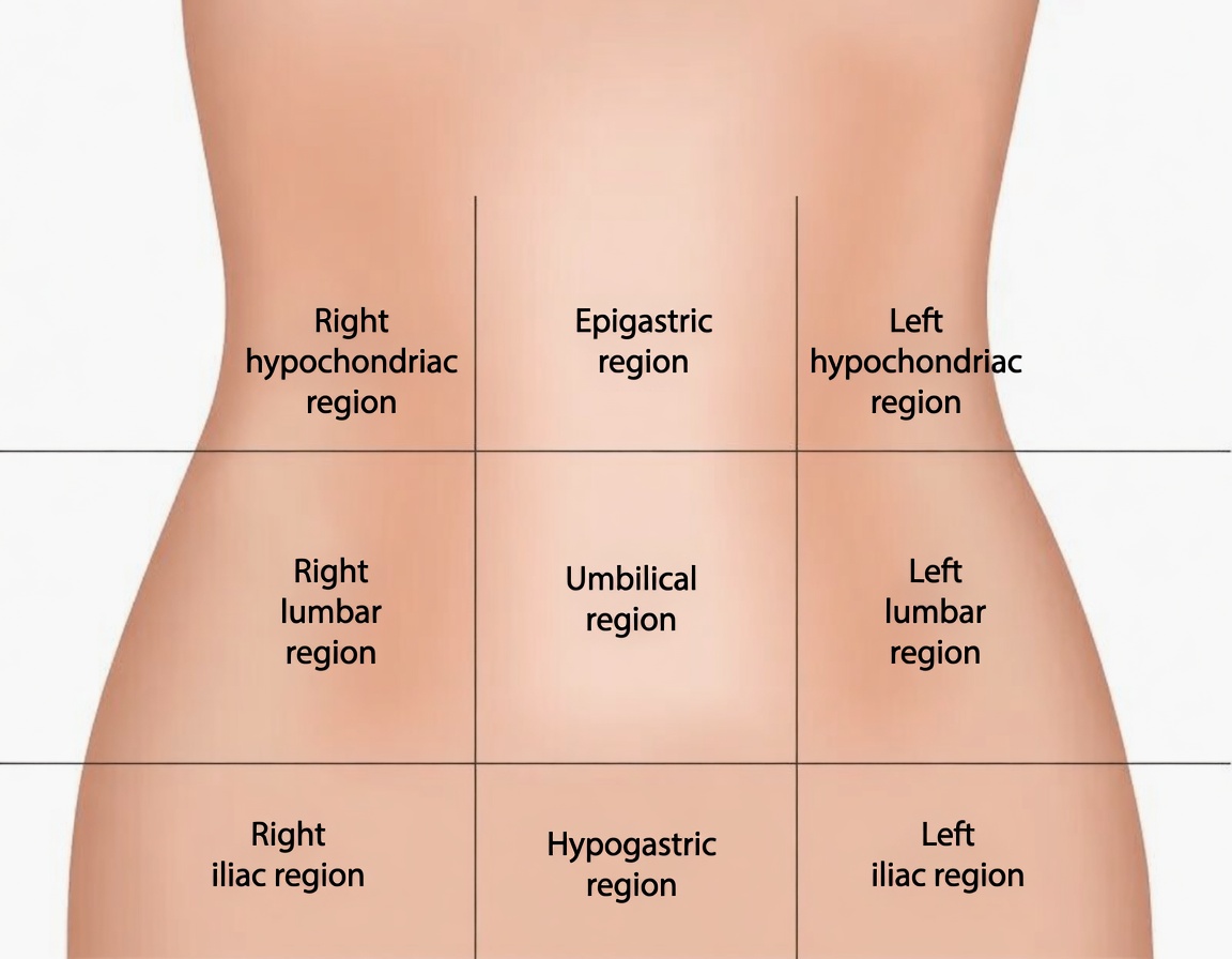 10 Subtle Pancreatic Cancer Warning Signs Many People Over 50 Often Overlook