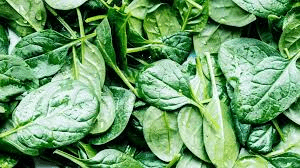 Build Muscle After 60: Everyday Foods That May Help Preserve Strength and Vitality as You Age