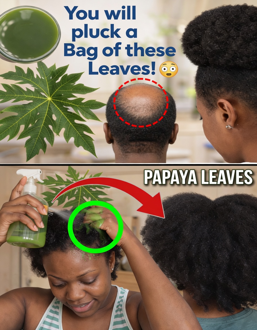 Exploring the Potential of Papaya Leaves for Hair Health: What the Science Suggests