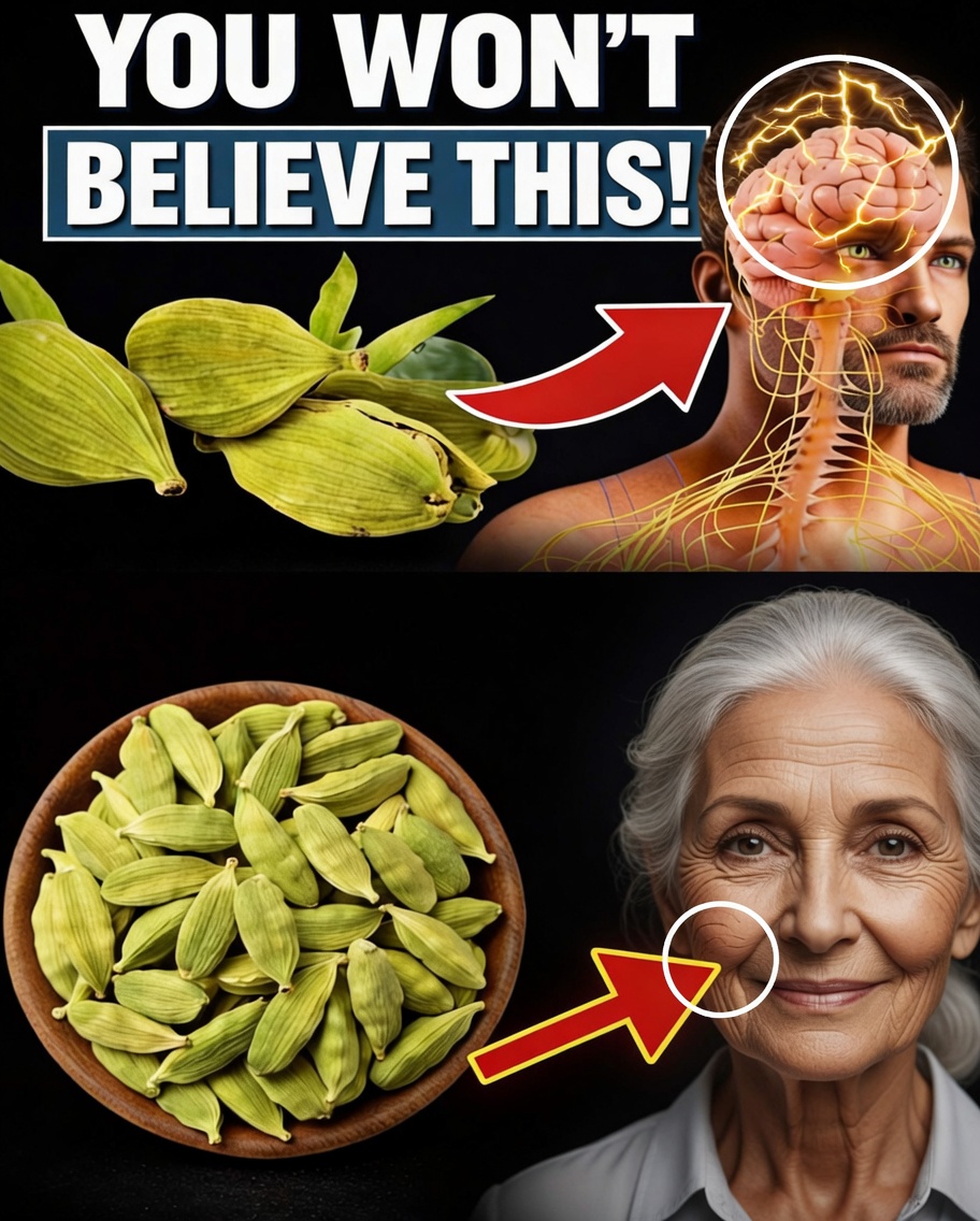 The Powerful Benefits of Cardamom Beyond the Kitchen: 18 Hidden Uses That Could Change Your Health Forever