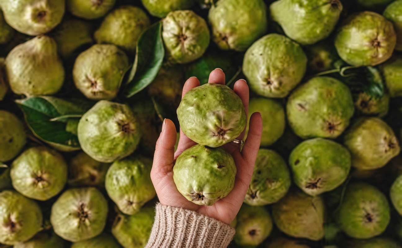 Exploring Three Common Leaves That May Support Healthy Blood Sugar Levels: Insights from Research