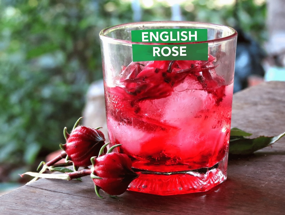 10 Morning Drinks to Support Kidney Health and Gently Flush Out Toxins Naturally