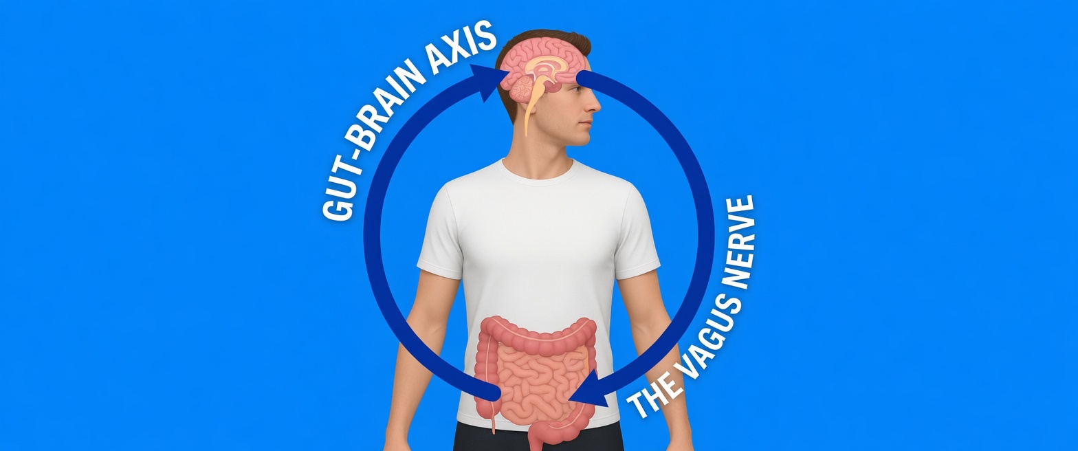 Why You Need to Poop Immediately After Eating and What It Really Means for Your Digestive Health