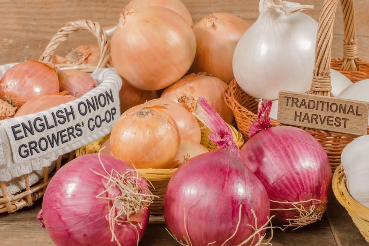 Purple Onion Drink for Belly Fat Support: A Simple Habit Worth Exploring?