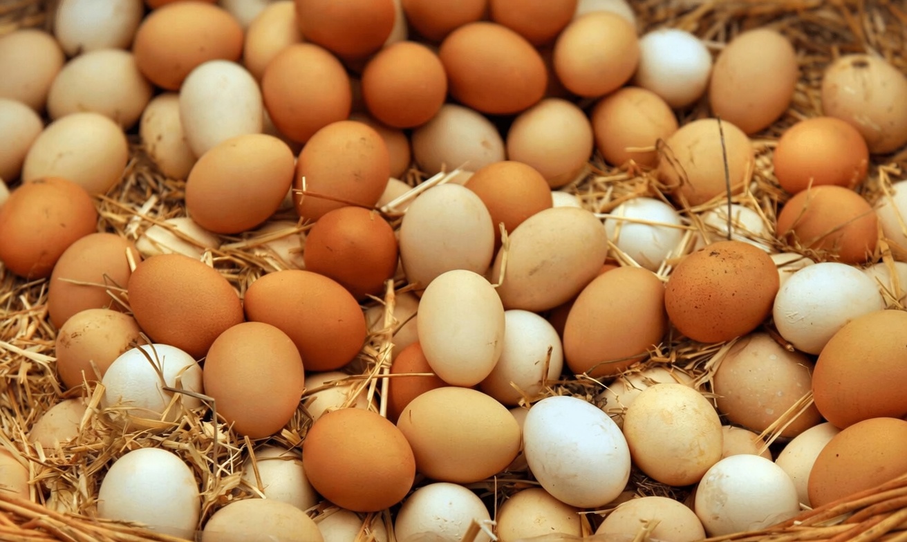 Over 60 and Concerned About Muscle Loss? Here Are Superfoods and Daily Habits That Support Strength Naturally