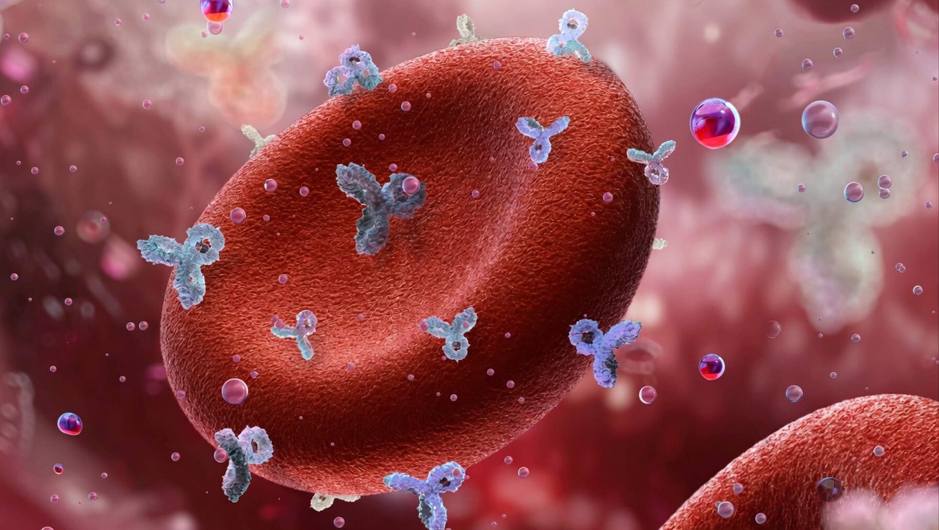 Which Blood Type Is Linked to the Lowest Cancer Risk and What It Really Means for Your Health