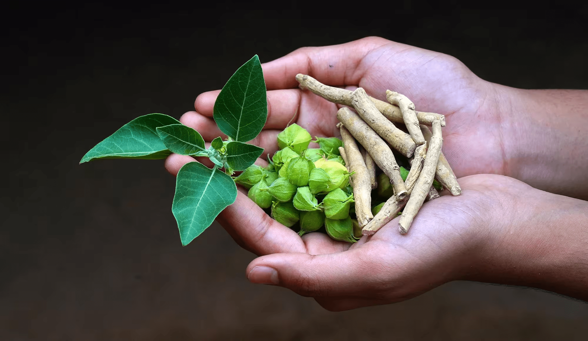 Why This Ancient Morning Ritual Is Gaining Attention Among Men Seeking Vitality and Daily Energy