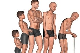 Sarcopenia: Understanding Muscle Loss After 50 and Simple Ways to Stay Strong
