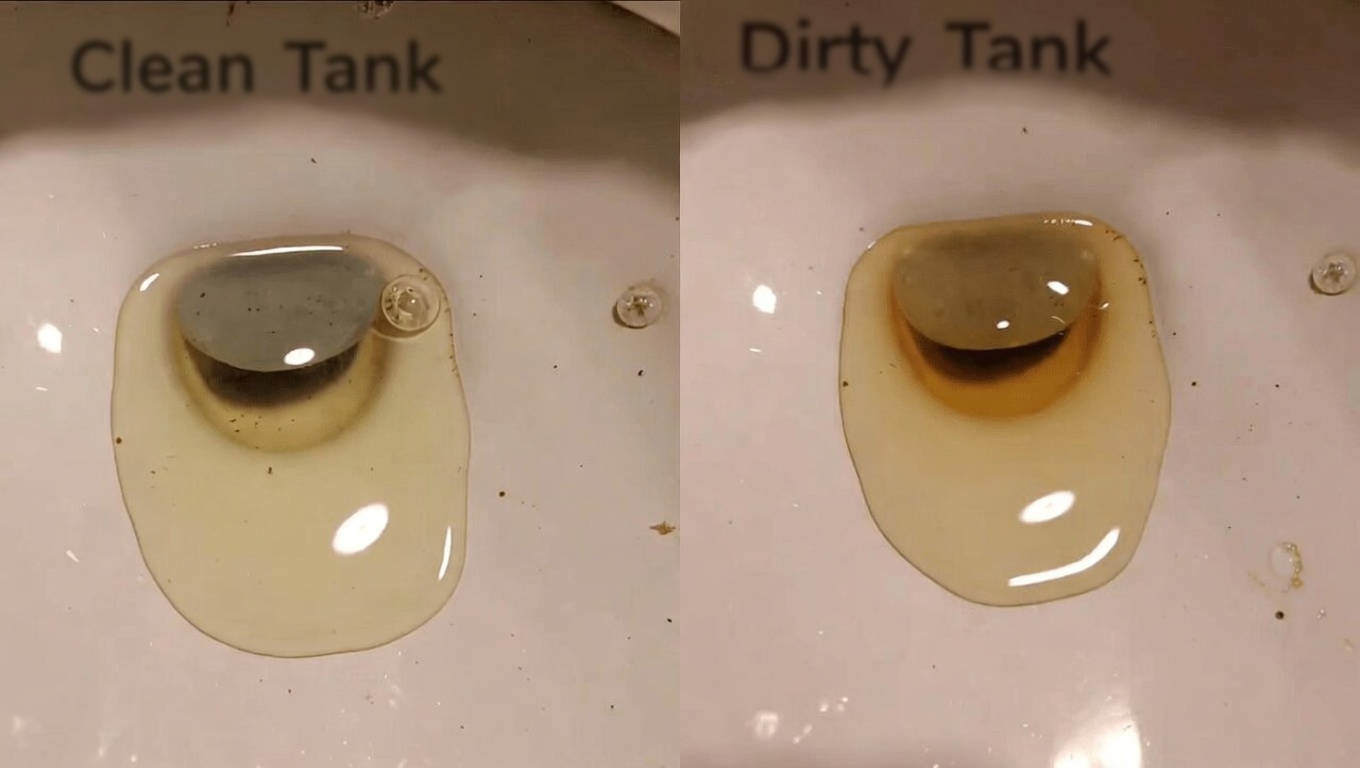What the Color of Your Urine Says About Your Hydration and Health: A Simple Daily Guide