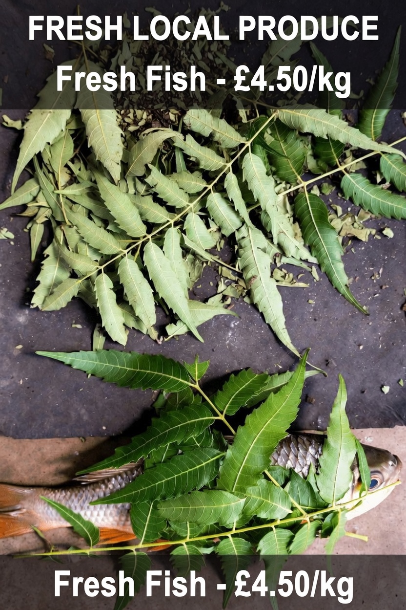 The Little-Known Southeast Asian Leaf That’s Gaining Attention in Wellness Communities