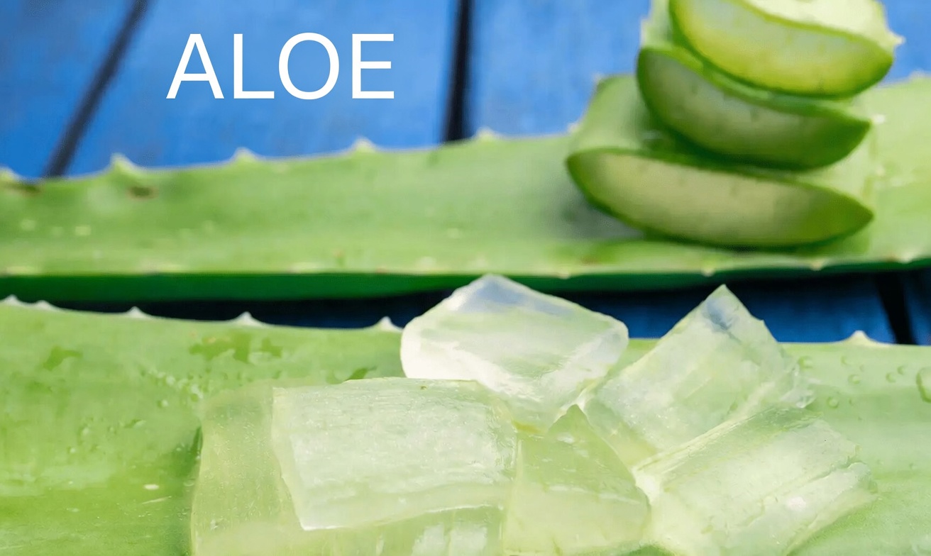 A Simple Morning Drink: Lemon, Ginger, and Aloe Vera for Digestive Comfort and Regularity