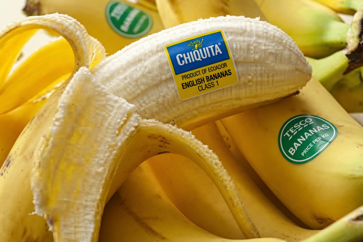 6 Foods to Limit If You're Concerned About Kidney Health and Protein in Urine