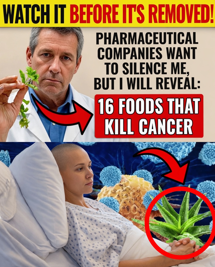 16 Foods That May Help Lower Cancer Risk: Science-Backed Choices for a Healthier Plate
