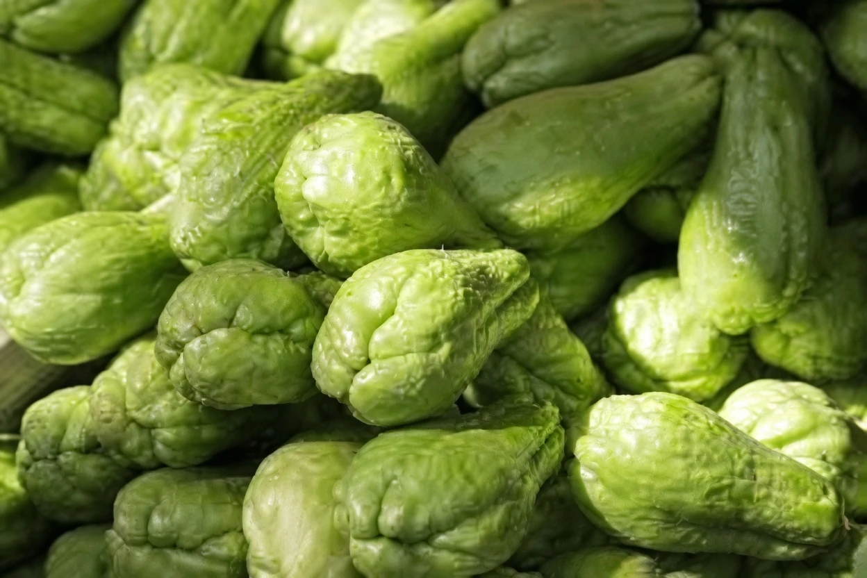 Discover the Simple Morning Habit: Chayote, Garlic, and Oregano Infusion for Everyday Wellness Support