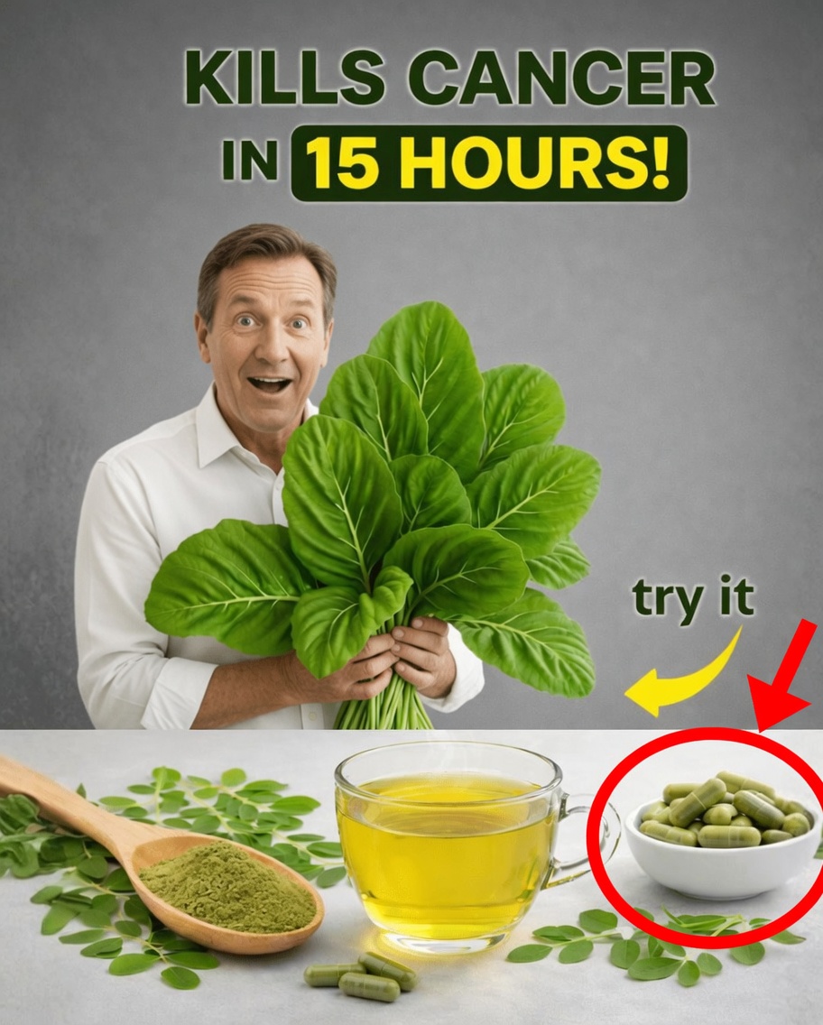 Three Nutrient-Rich Leaves That May Support Your Body’s Natural Defenses
