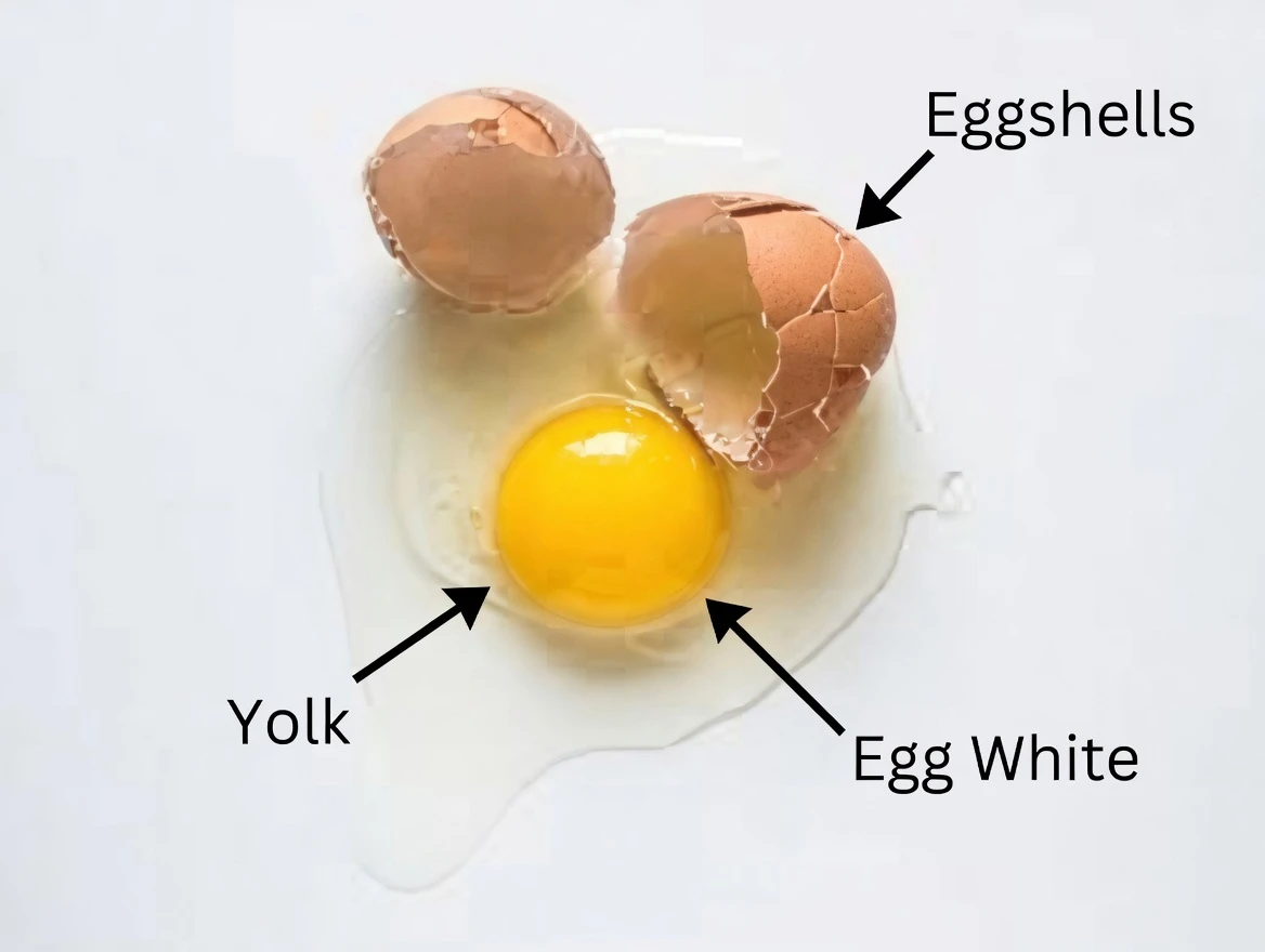 8 Important Egg Safety Facts Every Senior Should Know in 2025 – Protect Your Health Without Giving Up This Breakfast Staple