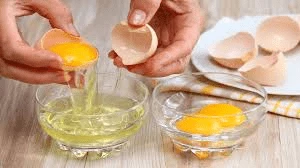 The Role of Protein in Kidney Health
