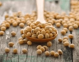 6 Foods That May Support Prostate Health in Men