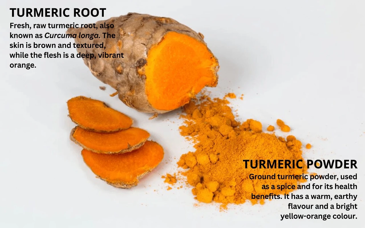 11 Nutrient-Rich Foods That May Support Liver Health and Natural Detox Processes