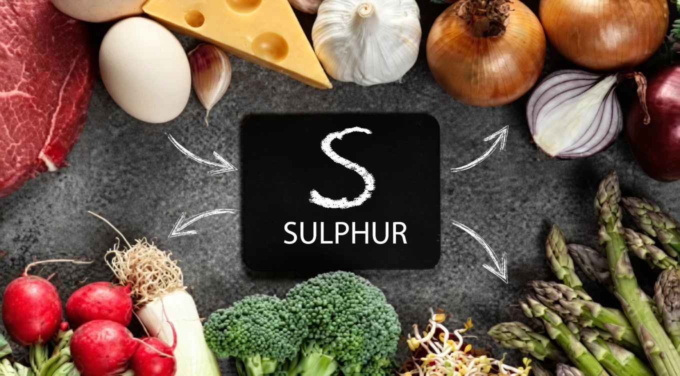 Natural Foods to Support Knee Cartilage Health: Simple Ways to Nourish Your Joints