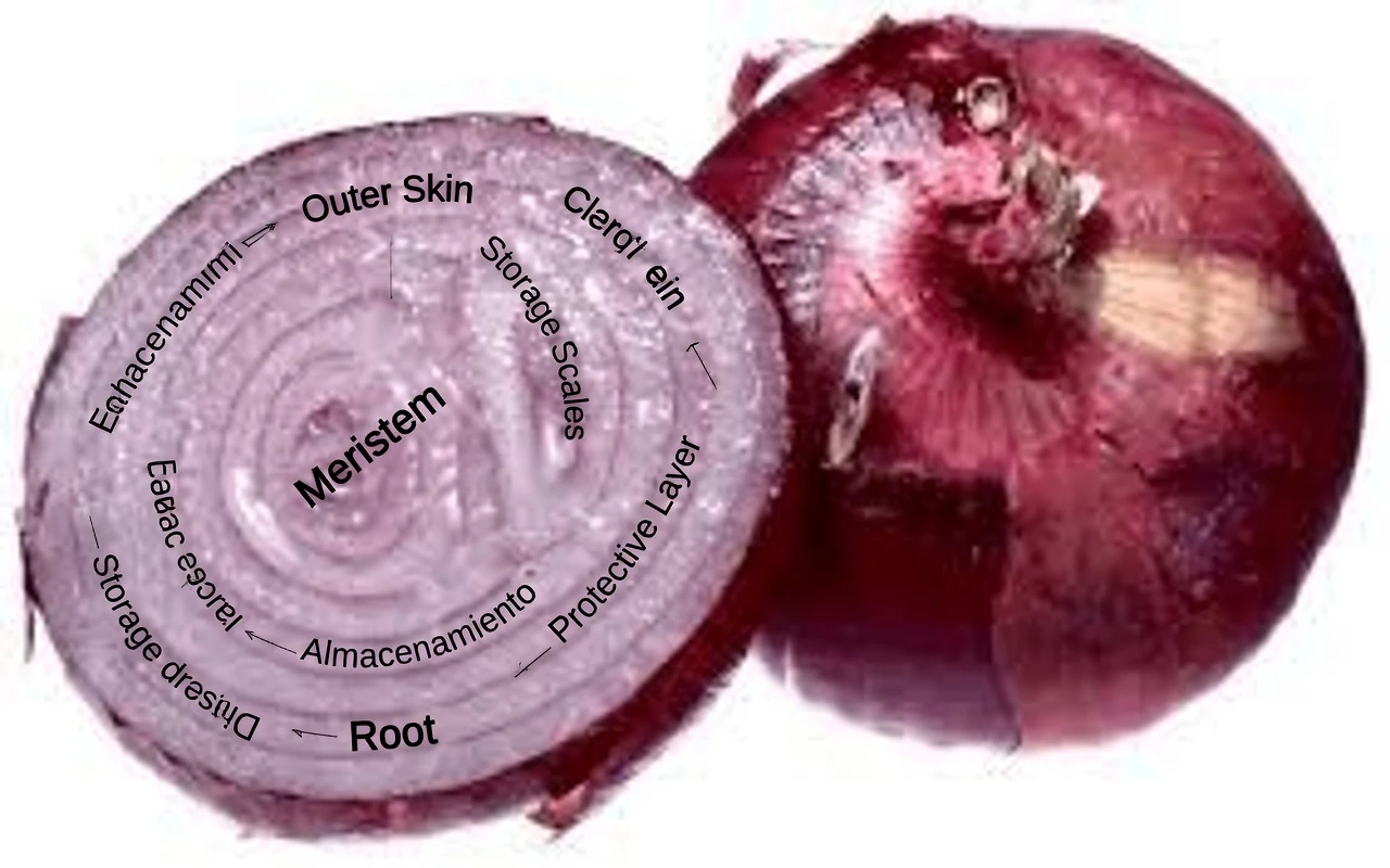 Could These Two Everyday Vegetables Help Support Your Body’s Collagen and Promote Joint Comfort?