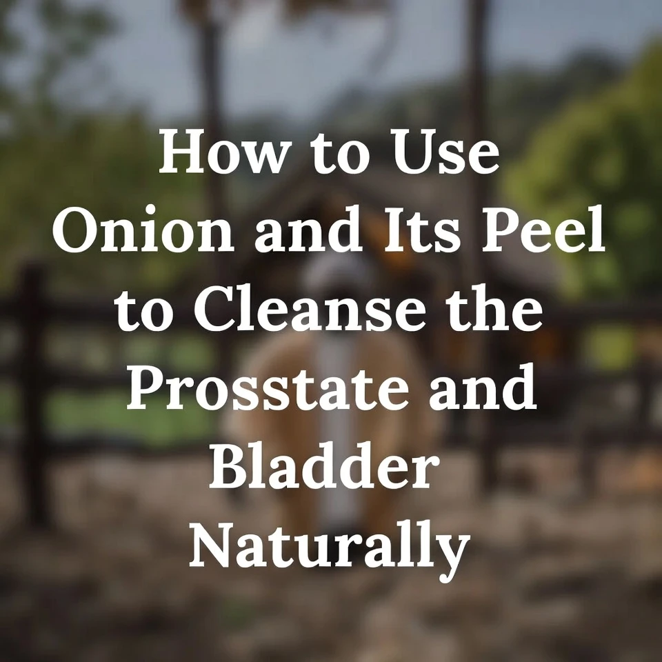 How to Use Onion and Its Peel to Naturally Cleanse the Prostate and Bladder