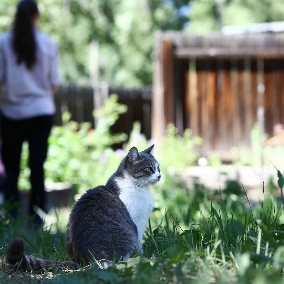 Could Owning a Cat Support Your Heart Health? What Research Suggests