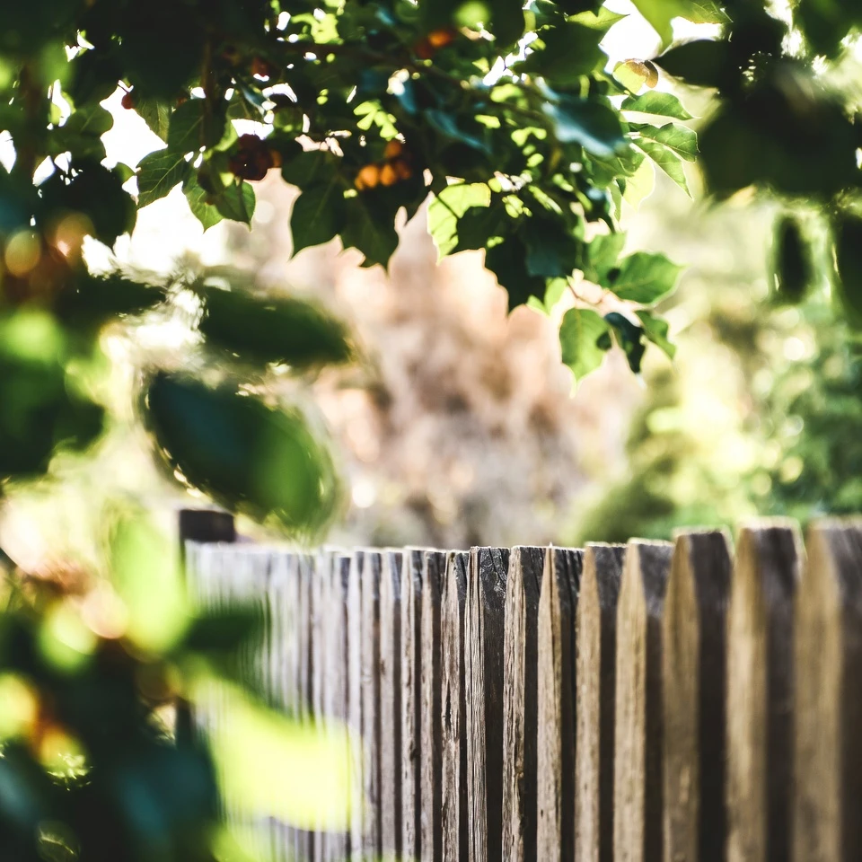 Seniors, Discover the Top 4 Fruits That Support Kidney Health and Hydration Overnight | Gentle Senior Wellness Tips